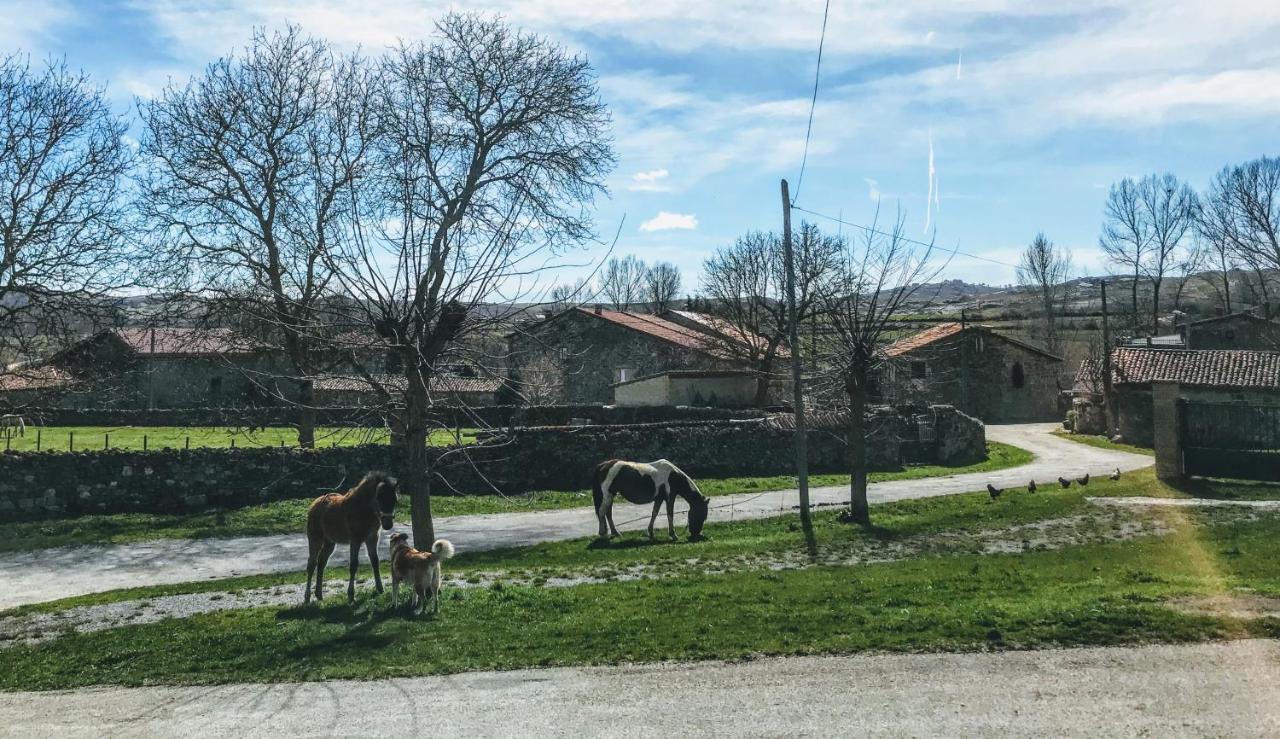 Appartamento La Casita / *